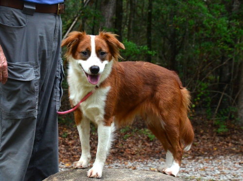 Photo 2 of Ruby