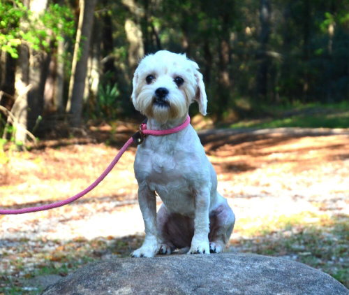 Photo 2 of Maggie