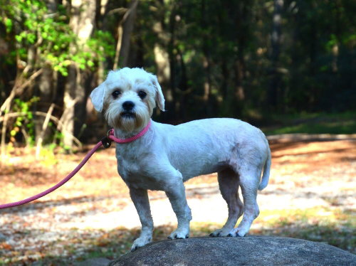Photo 3 of Maggie