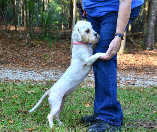 Photo 4 of Maggie