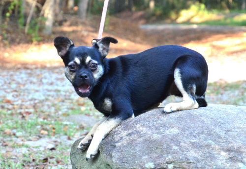 Photo 3 of Molly