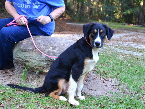 Photo 4 of Missy
