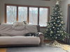 Razzle Dazzle - Photo 2