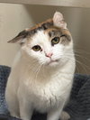Lovebug - Photo 1