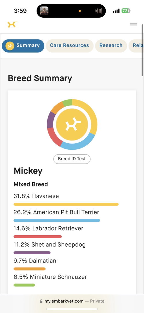 Photo of Mickey