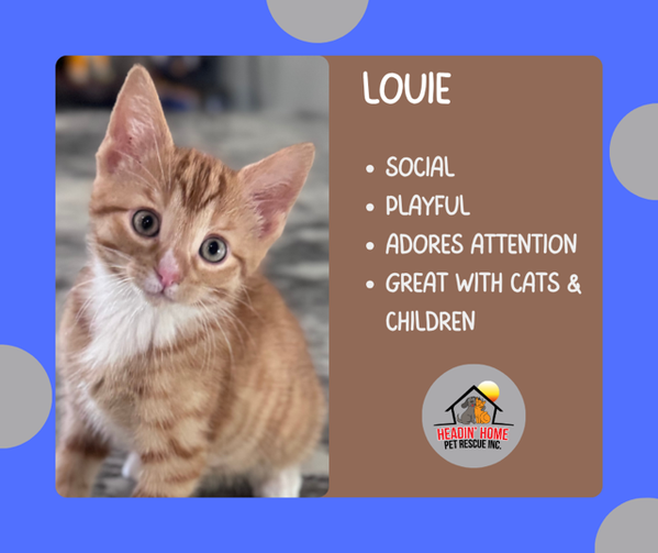 Hewey & Louie
