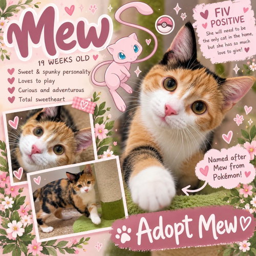 Mew
