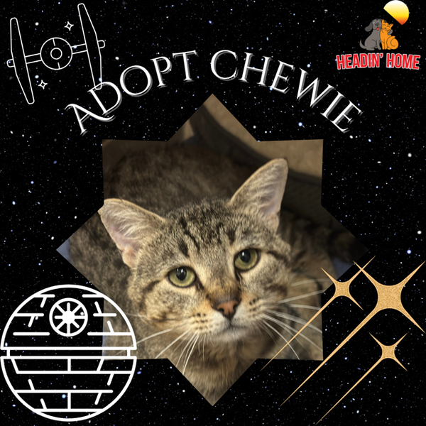 Chewie