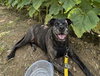 CAVA - Photo 1