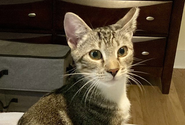 CHARLIE