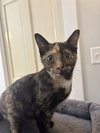 PENNY - Photo 1
