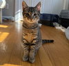 BUTTER - Photo 1