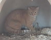 DUNCAN - Photo 1