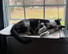 PORTER - Photo 1