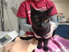 STITCH - Photo 1
