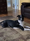 Julie - Photo 2