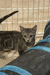 Frito - Photo 5