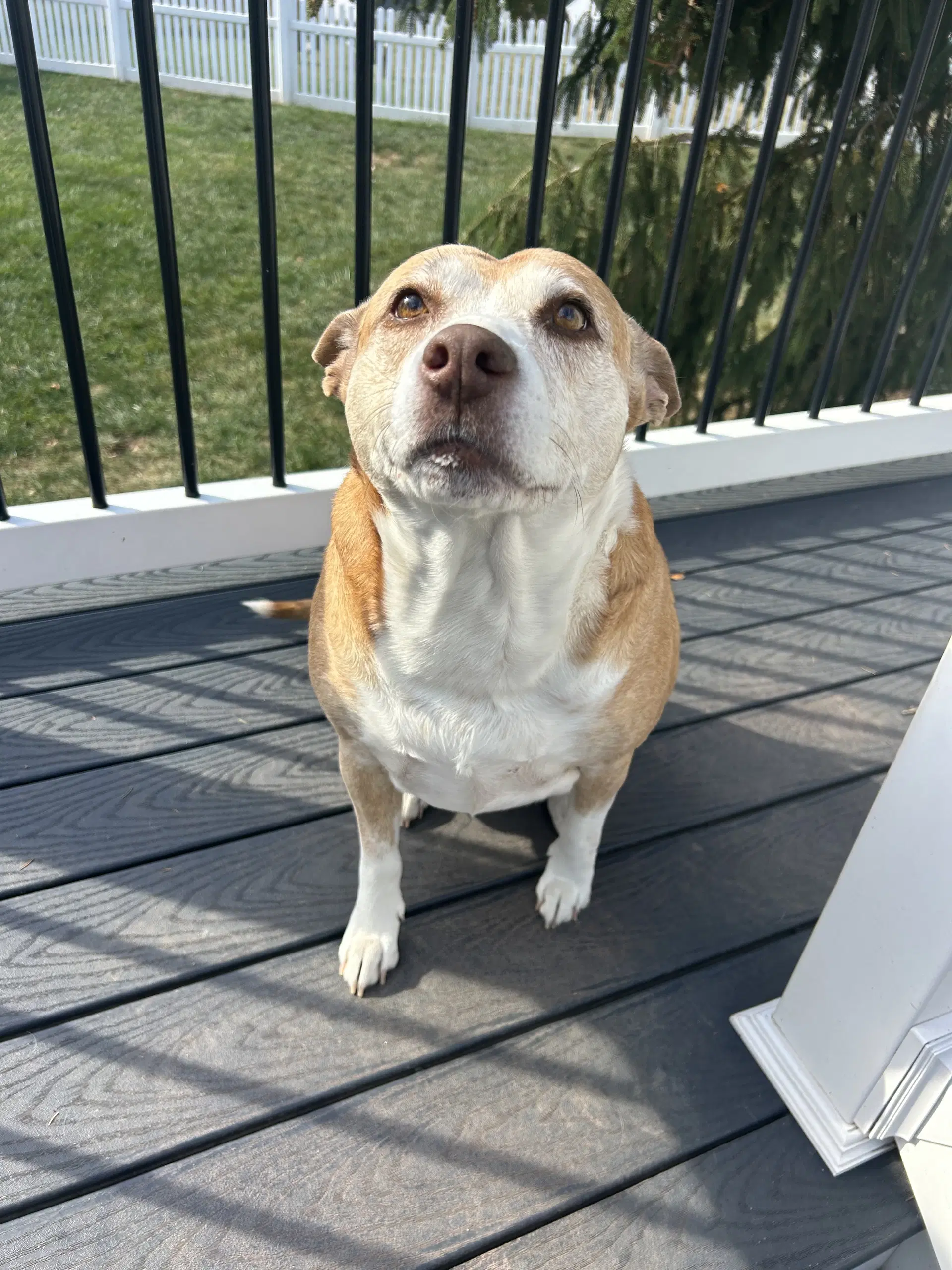 Maggie image 2