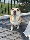 Maggie - Photo 2