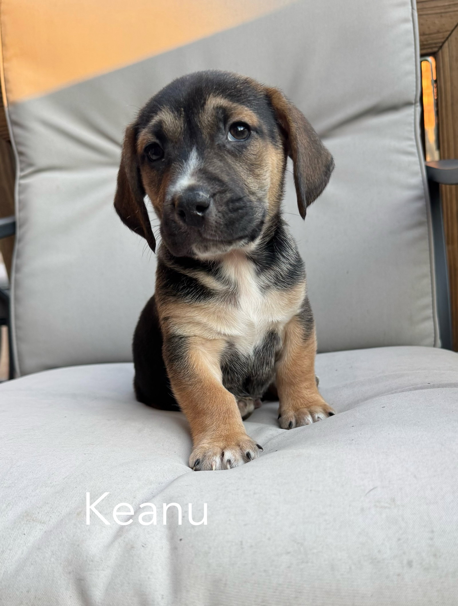 Keanu