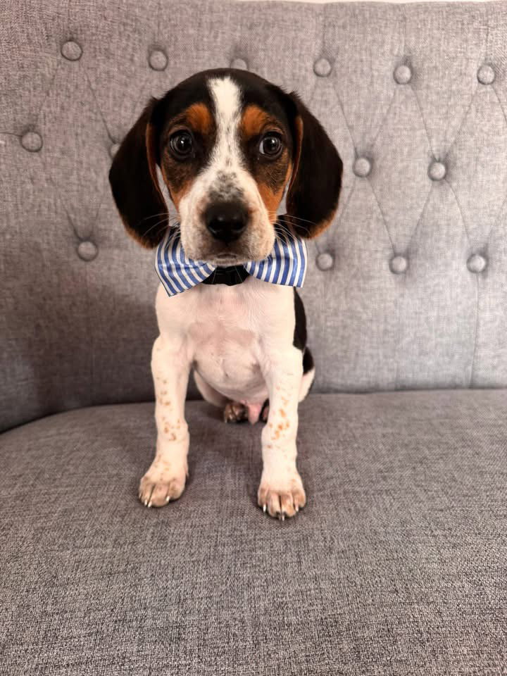 Benny
