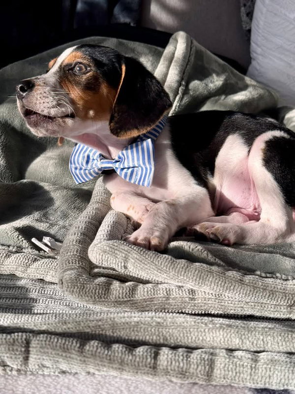 Benny