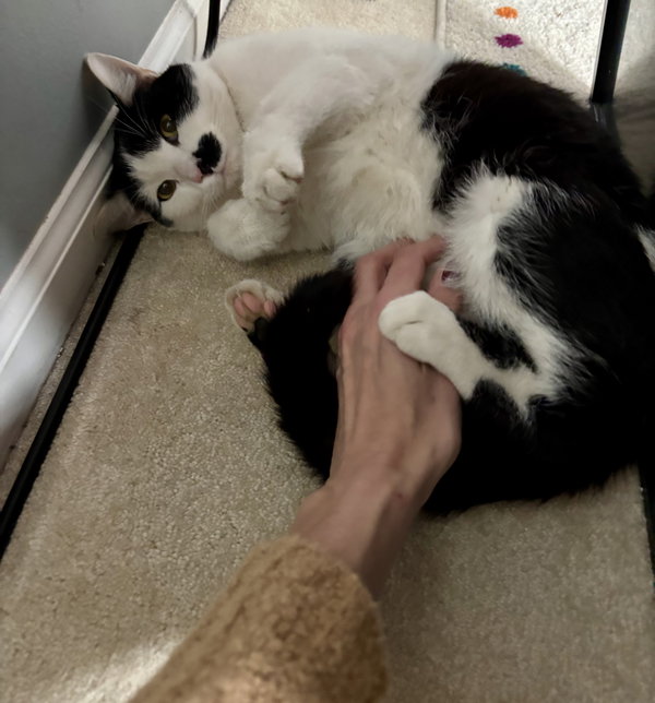Charlie
