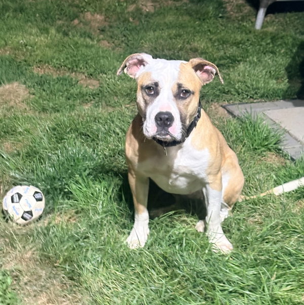 Roxy