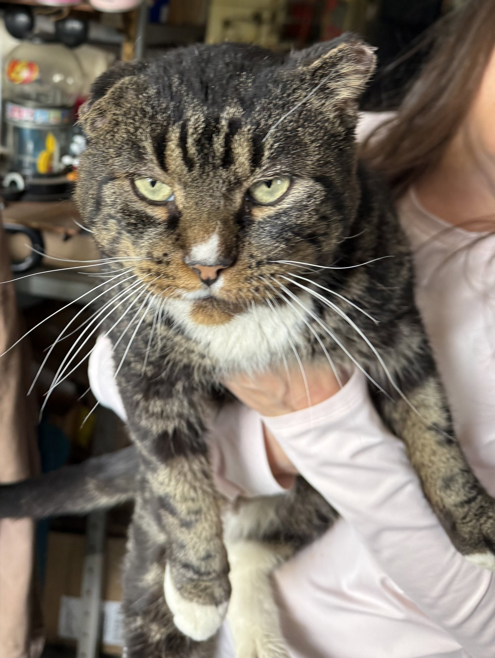 Frank Sinatra