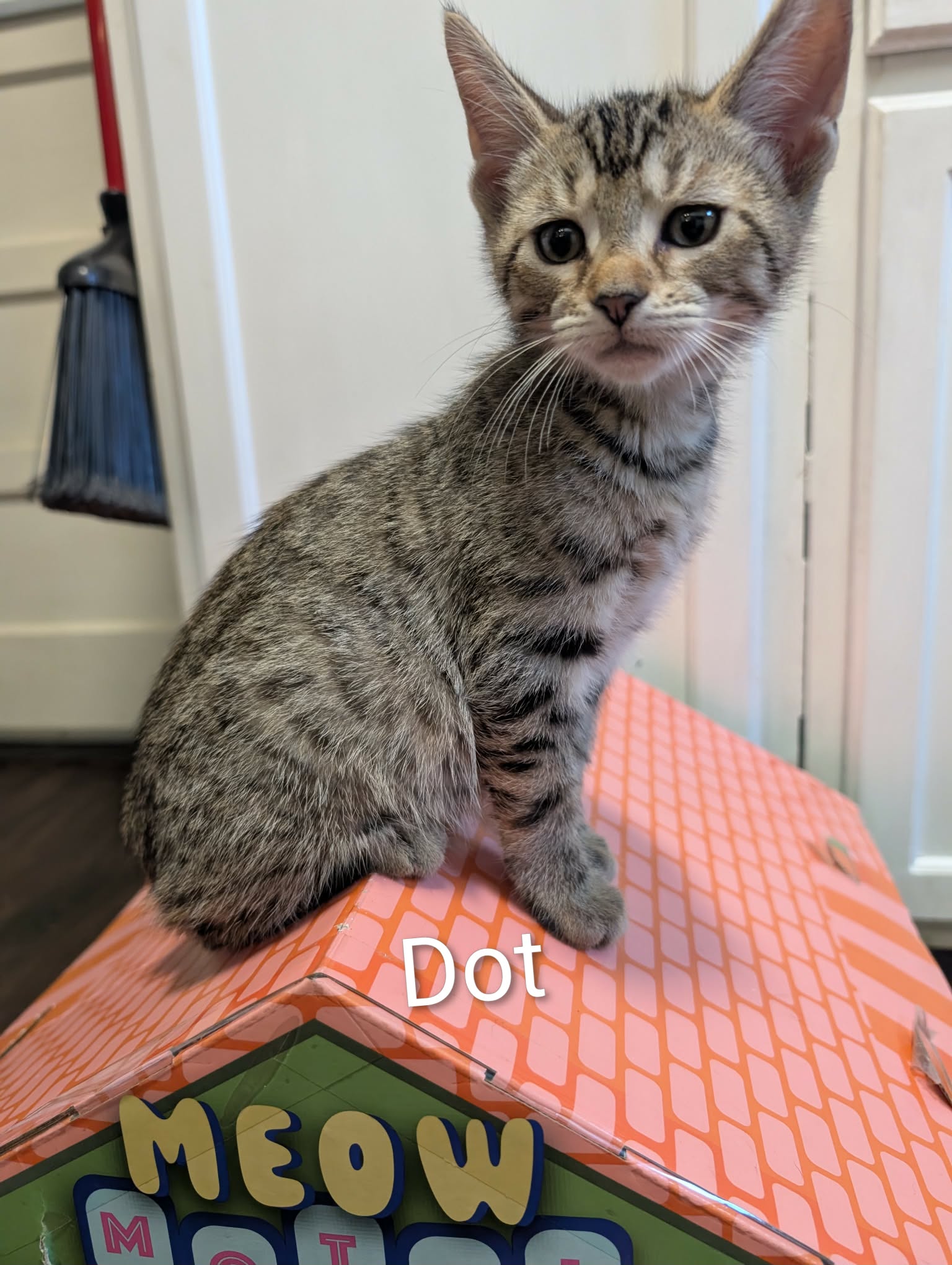 Dot