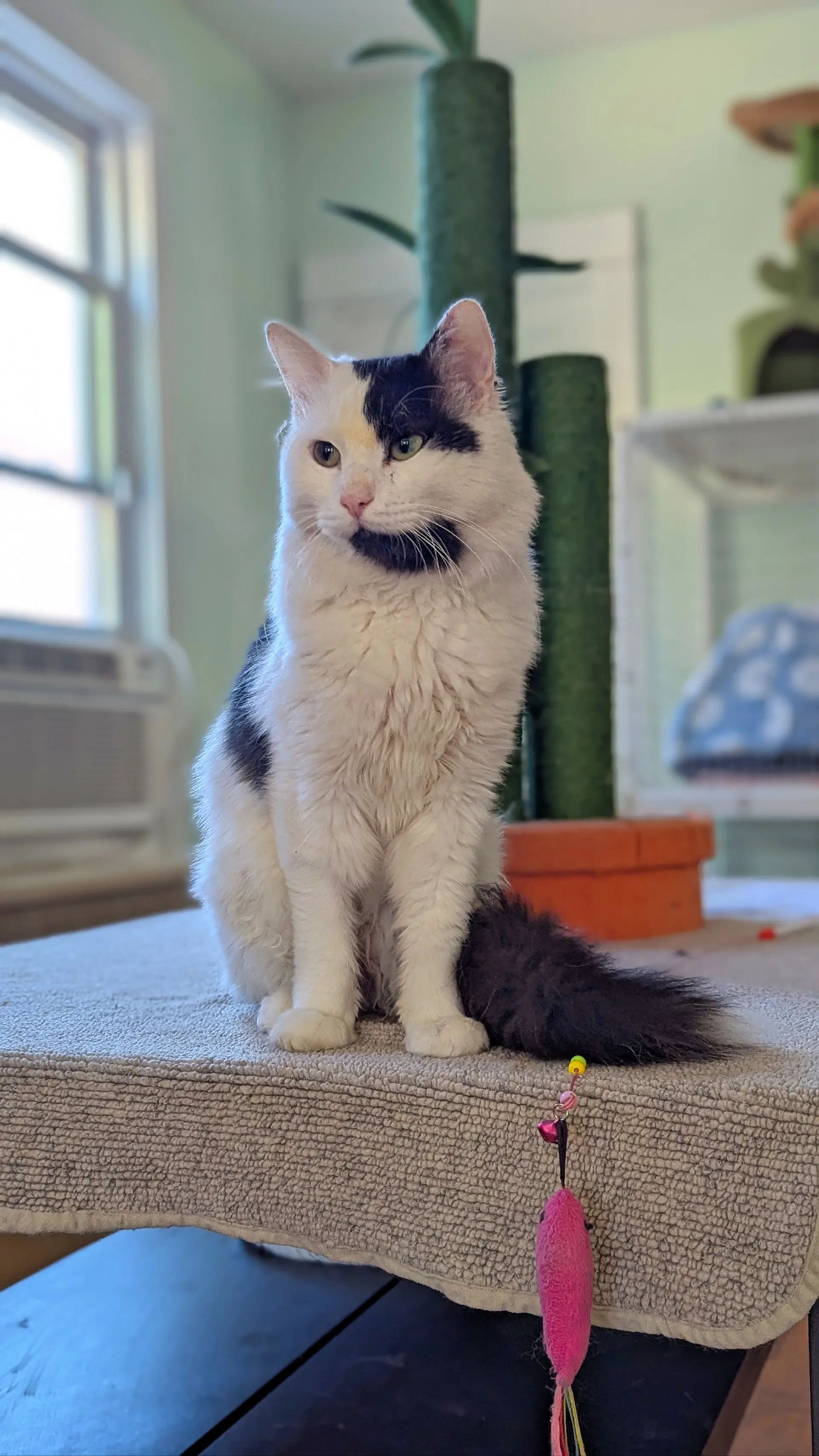 Casper image 2