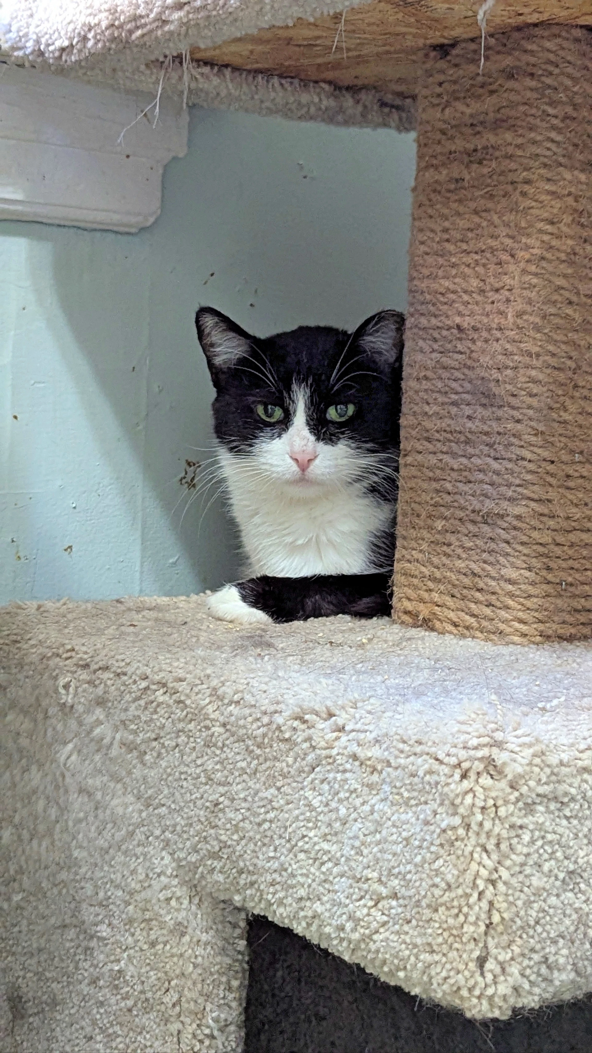 Mimi