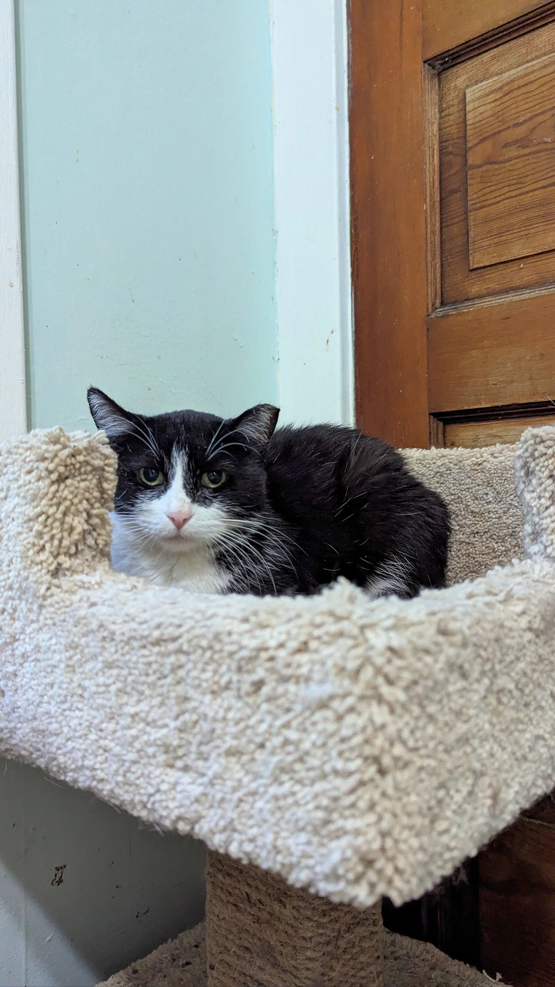 Mimi image 3