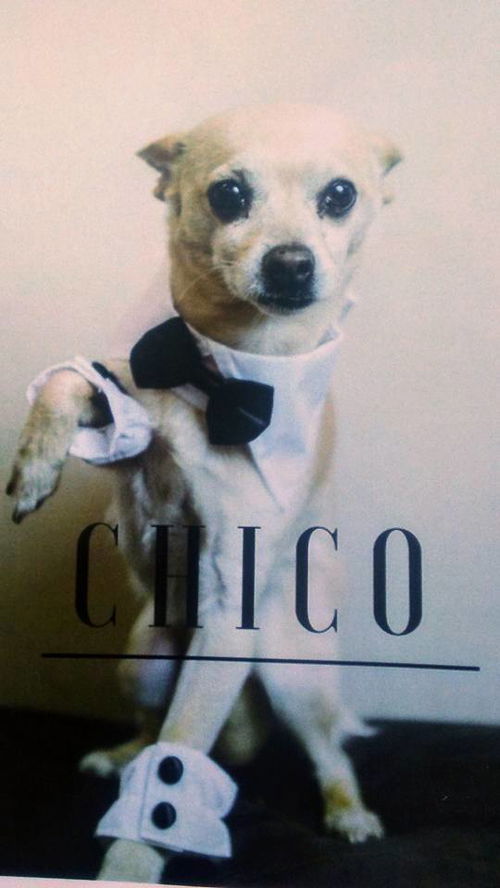 Chico