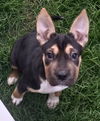 MayBelle