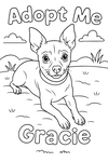 Gracie