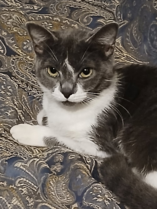 Luna