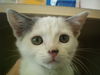 Imp ADOPTED WOO HOO