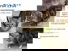 Zha Zha  WOO HOO ADOPTED