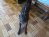Onyx
