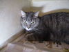 Jacob and Lucky BOTH ADOPTED