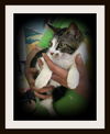 Fiona ADOPTED
