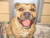 Nala ADOPTED WOO HOO!!!!!