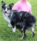 Quincy ADOPTED