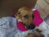 Tammy ADOPTED WOO HOO