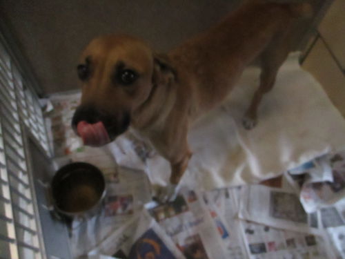 Tammy ADOPTED WOO HOO