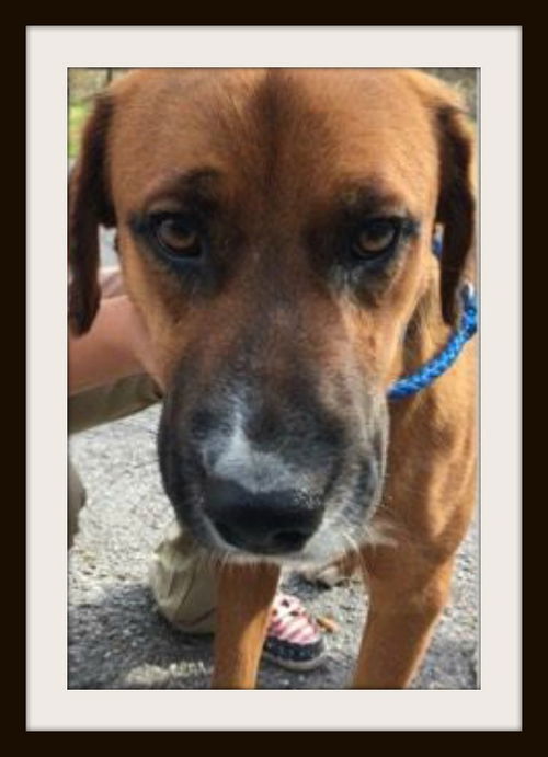 Jake ADOPTED