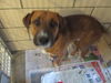 Jake ADOPTED