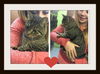 Iris ADOPTED