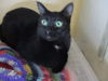 Jack ADOPTED